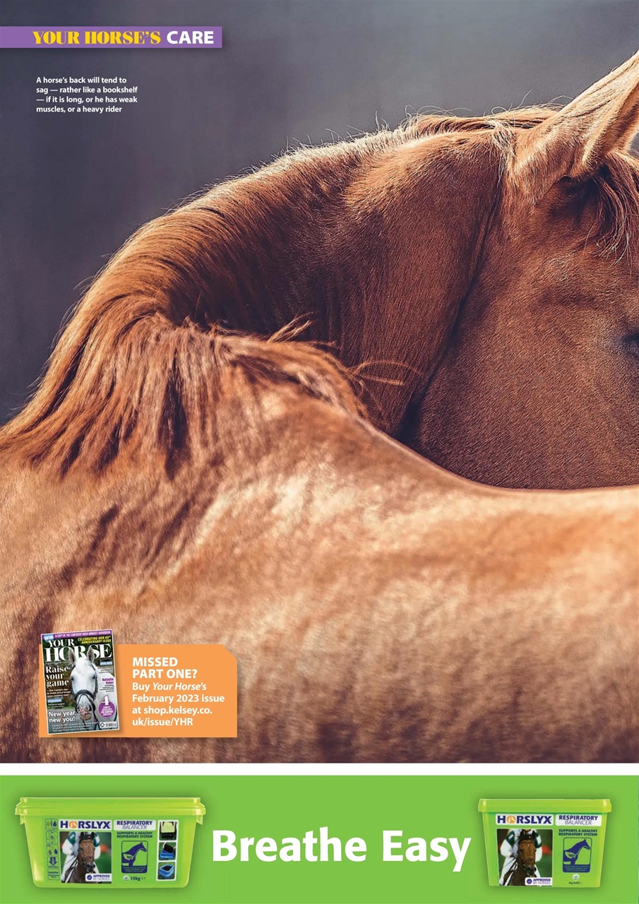 Your Horse Preview Pages