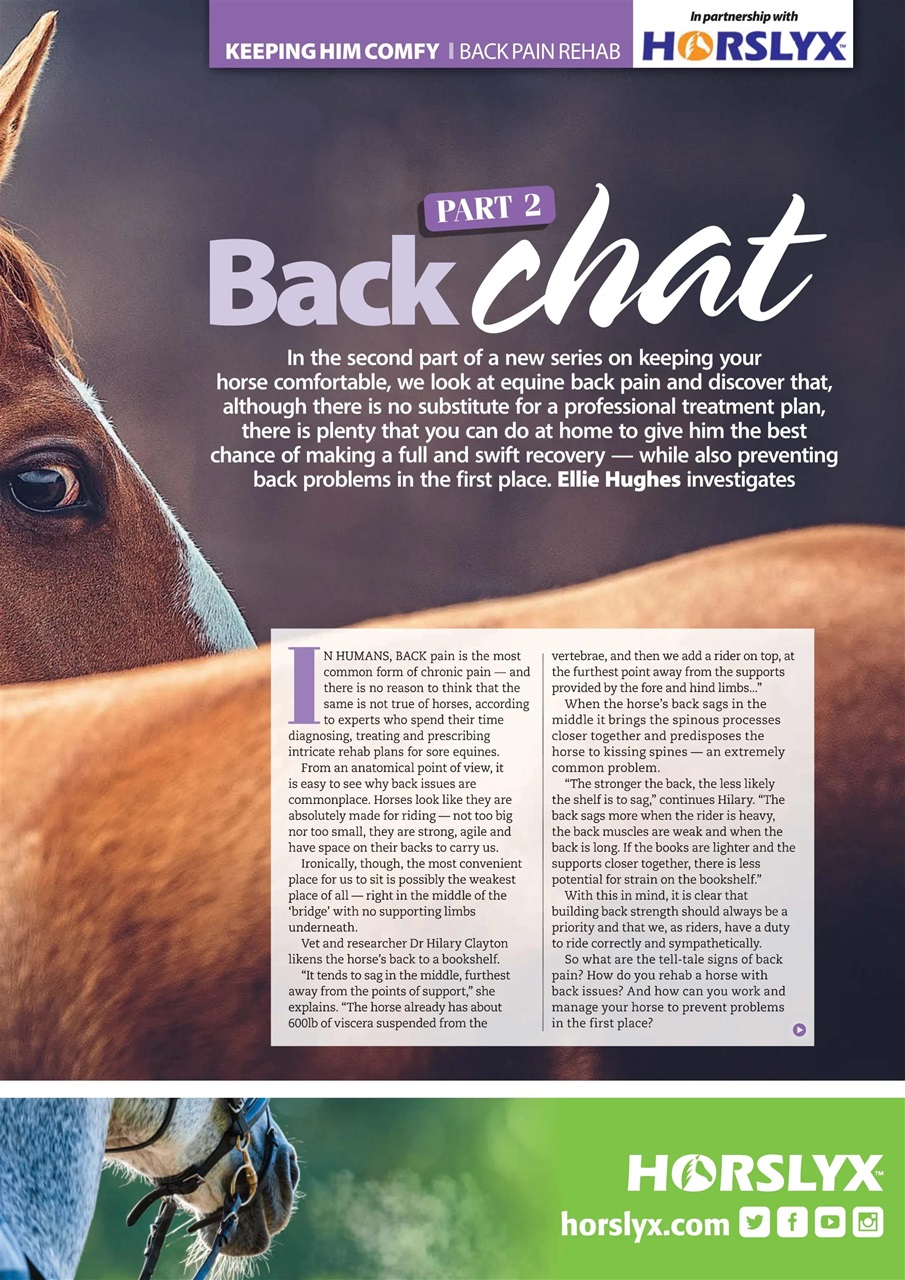 Your Horse Preview Pages