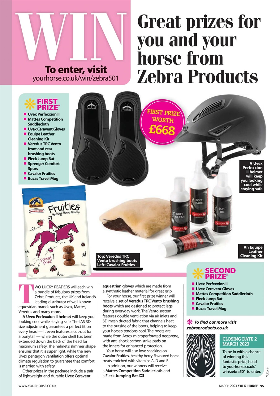 Your Horse Preview Pages