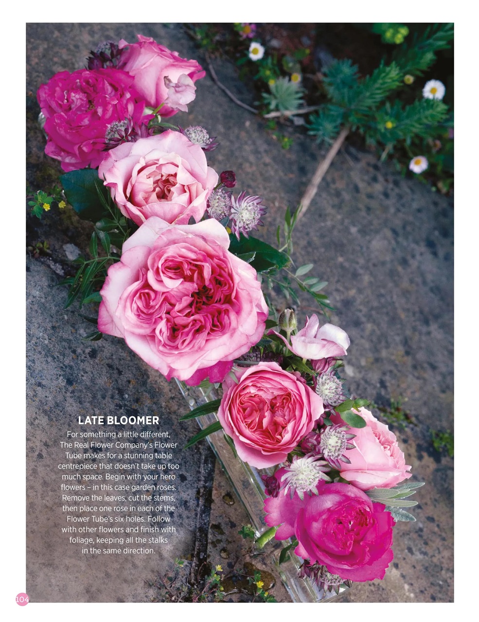 Liz Earle Wellbeing Preview Pages
