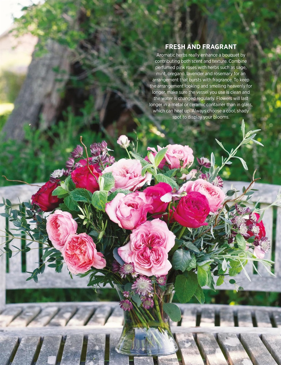 Liz Earle Wellbeing Preview Pages