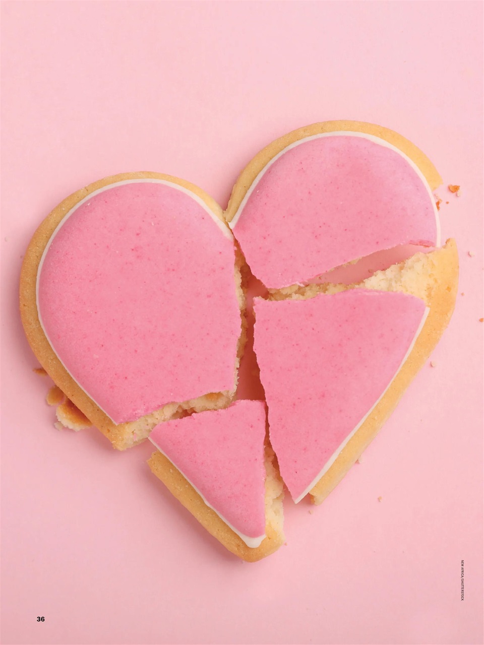 The Writer Preview Pages