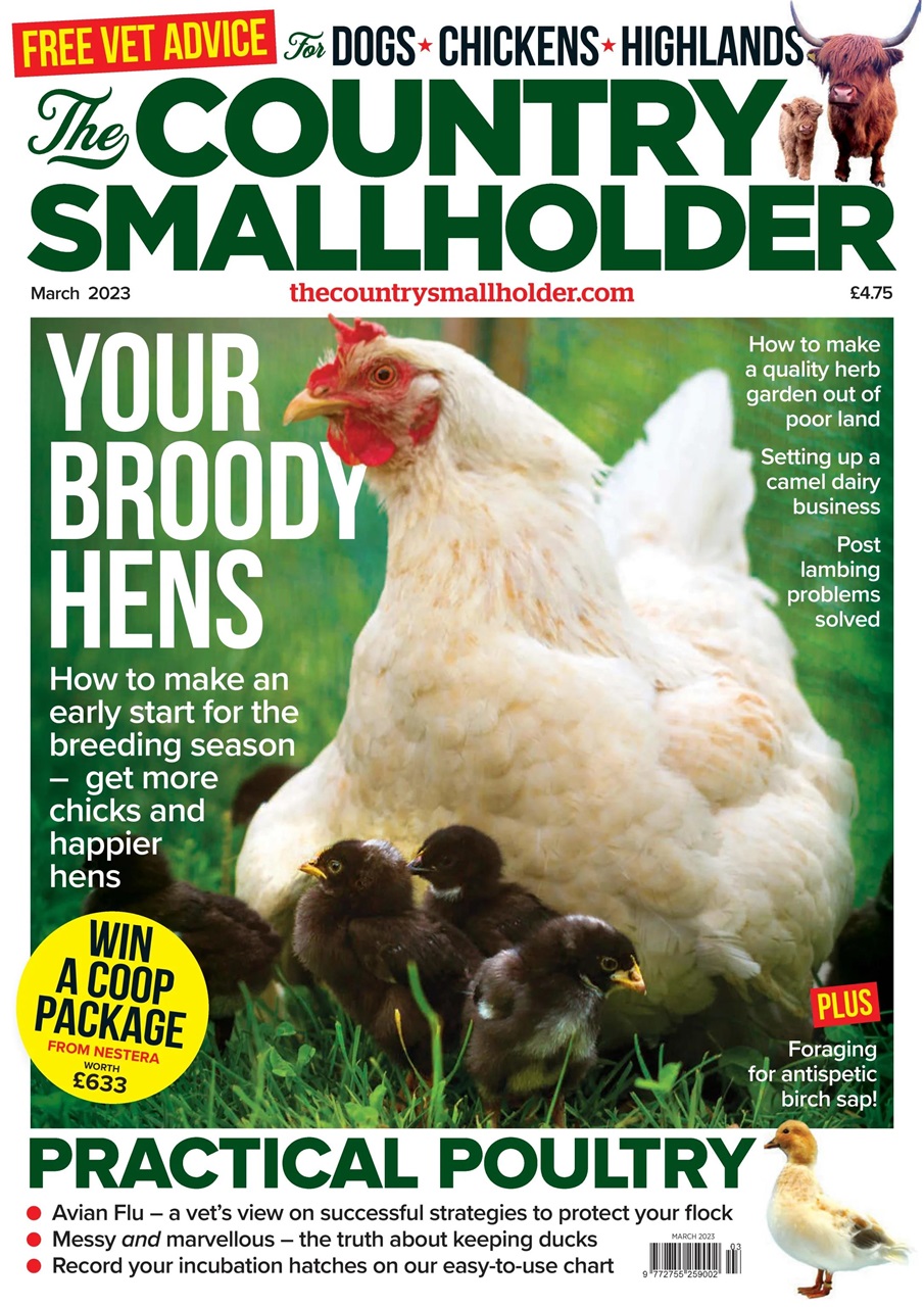 The Country Smallholder Preview Pages