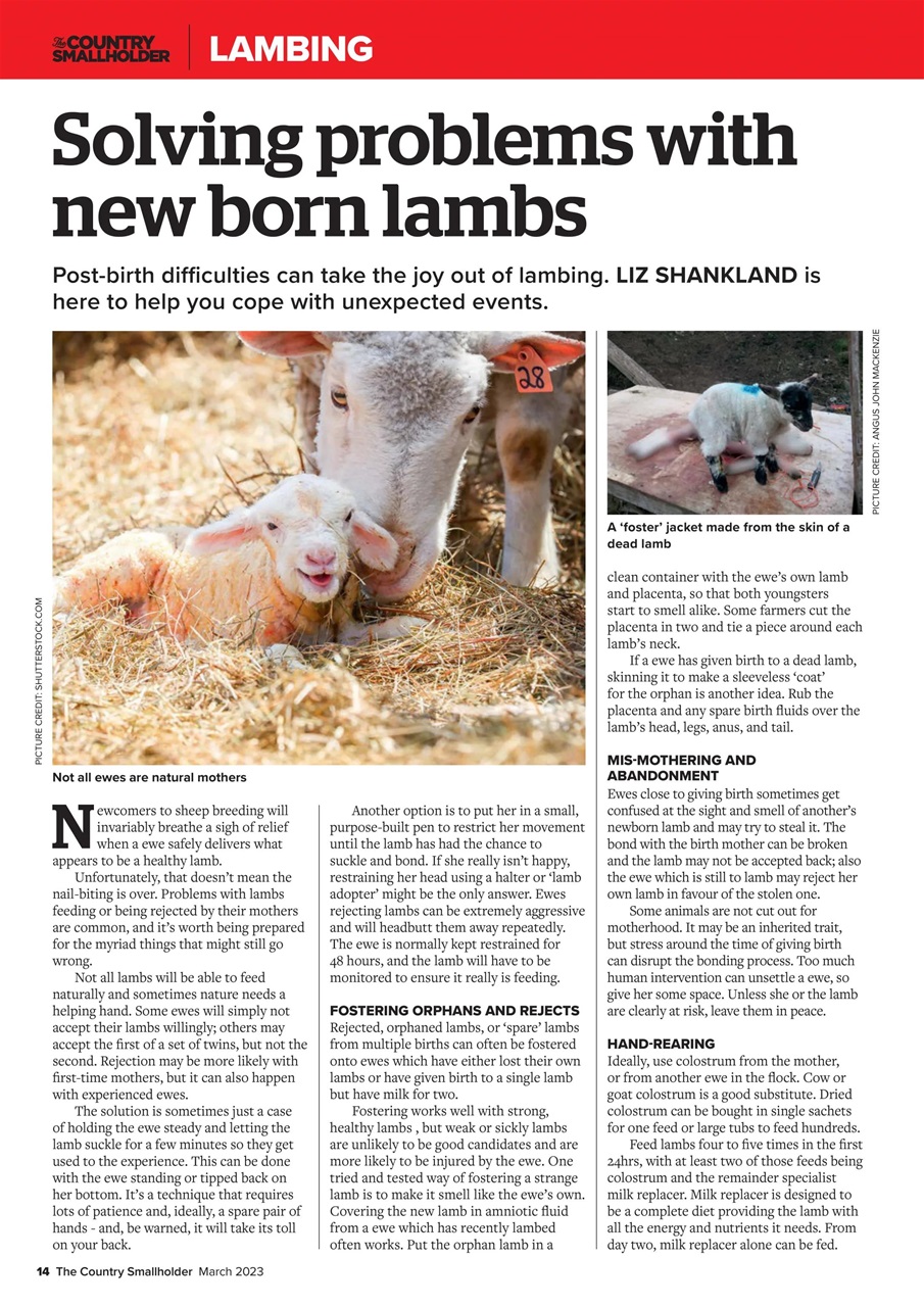 The Country Smallholder Preview Pages