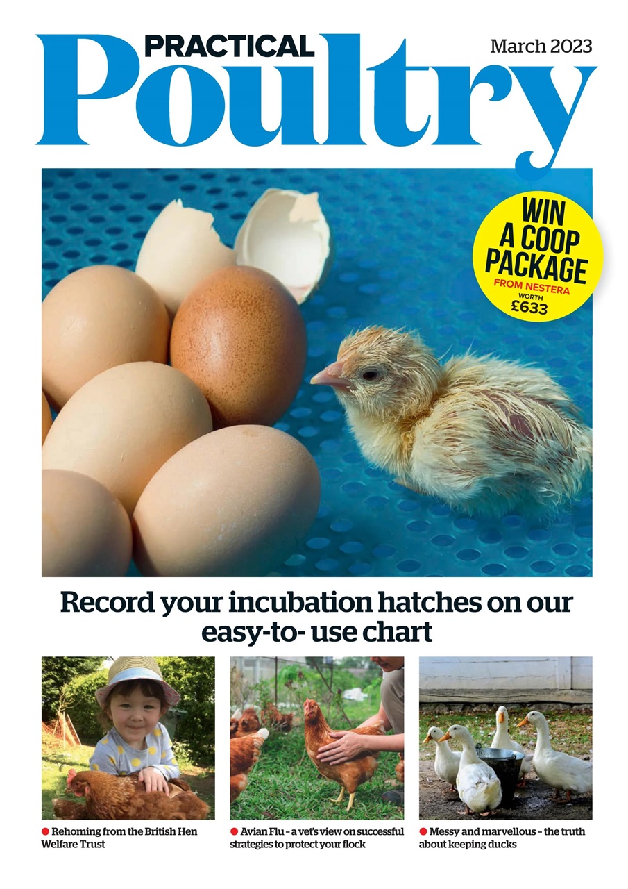 The Country Smallholder Preview Pages