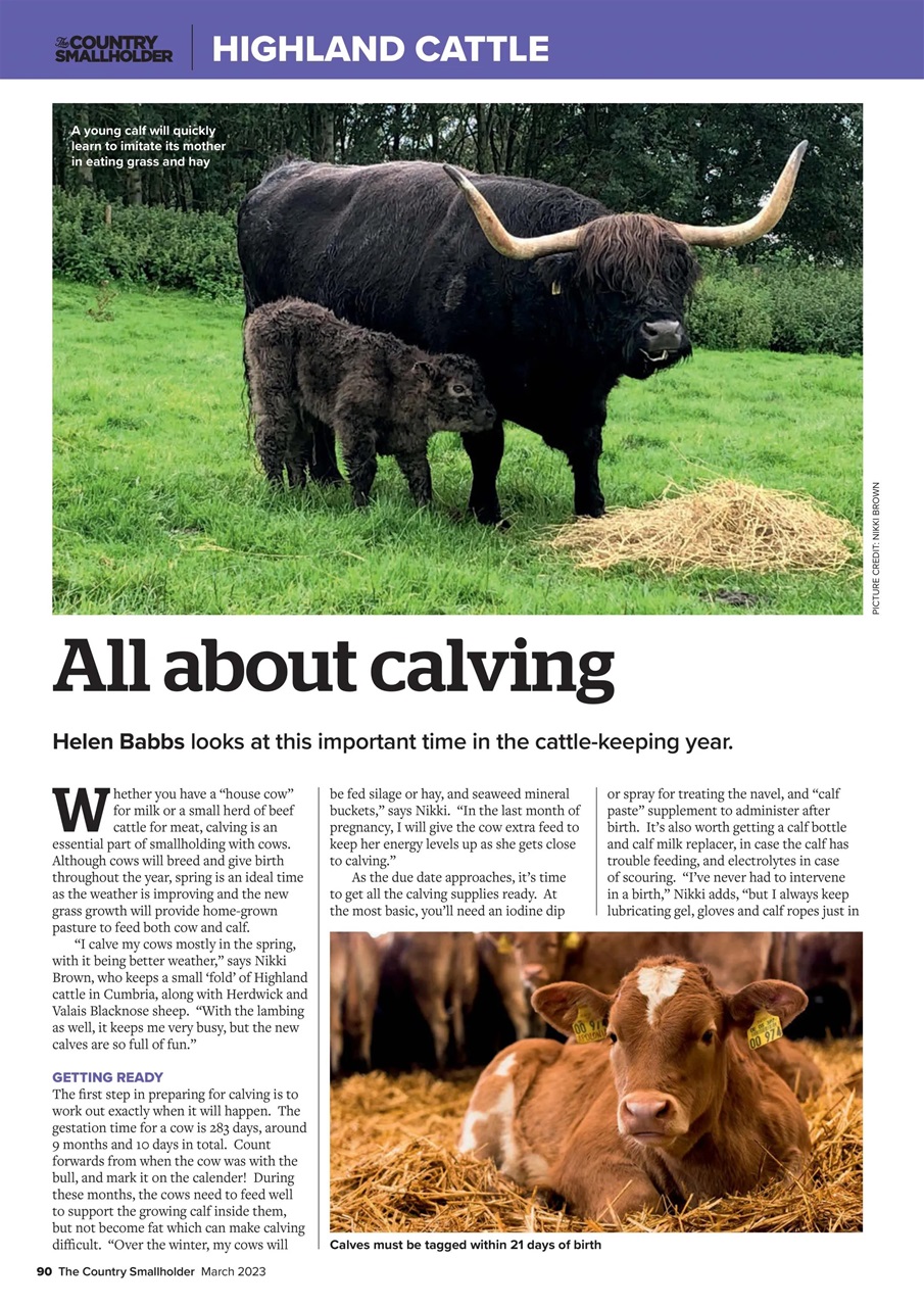 The Country Smallholder Preview Pages
