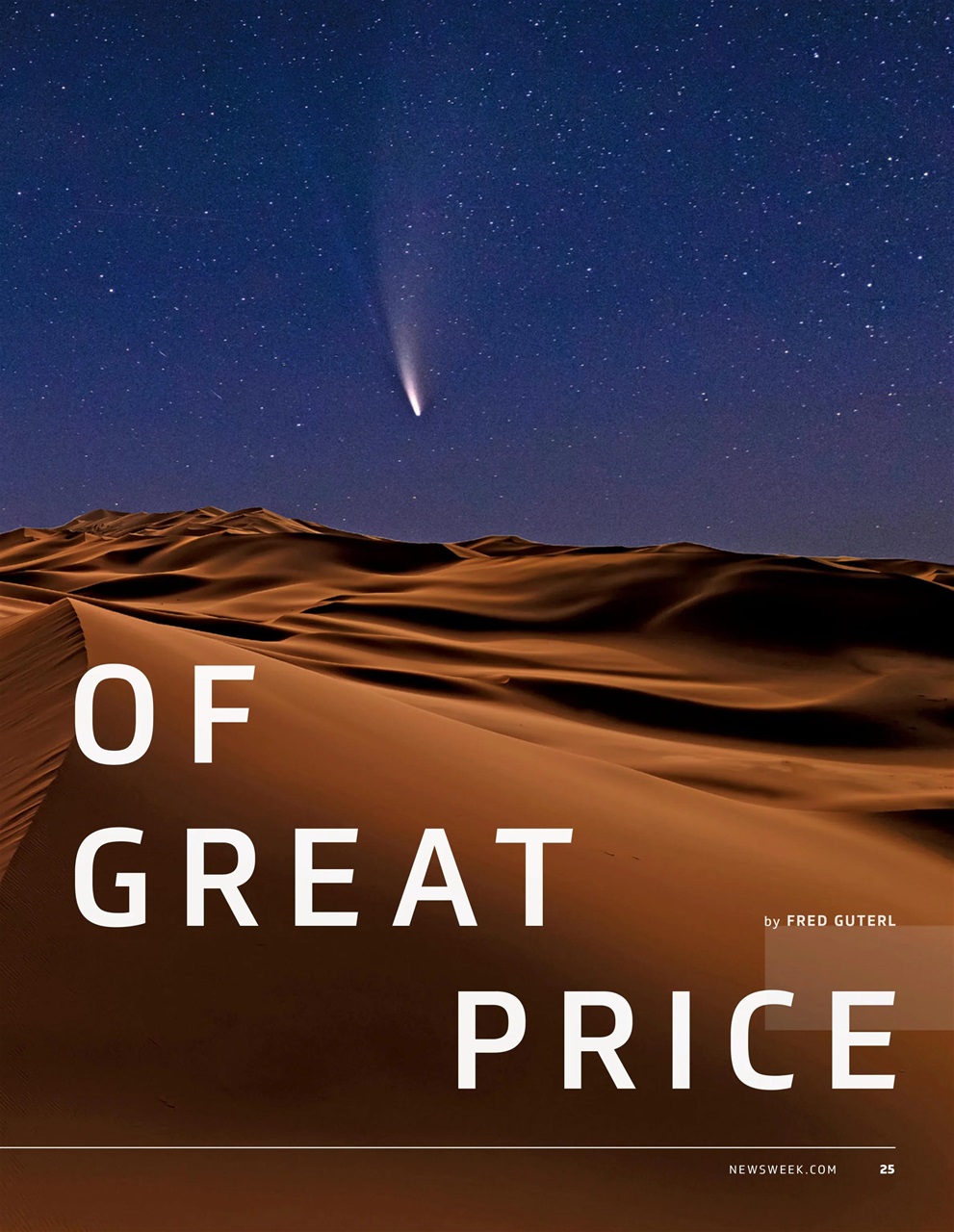 Newsweek International Preview Pages