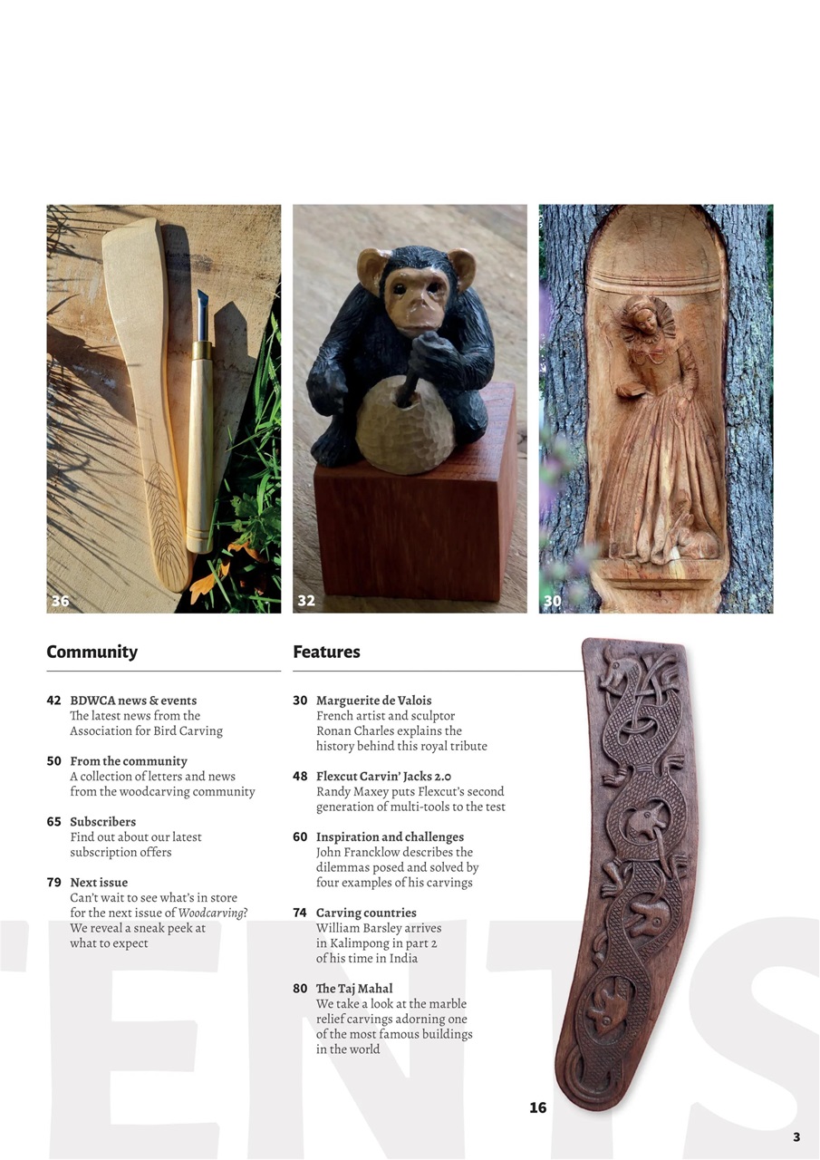 Woodcarving Preview Pages