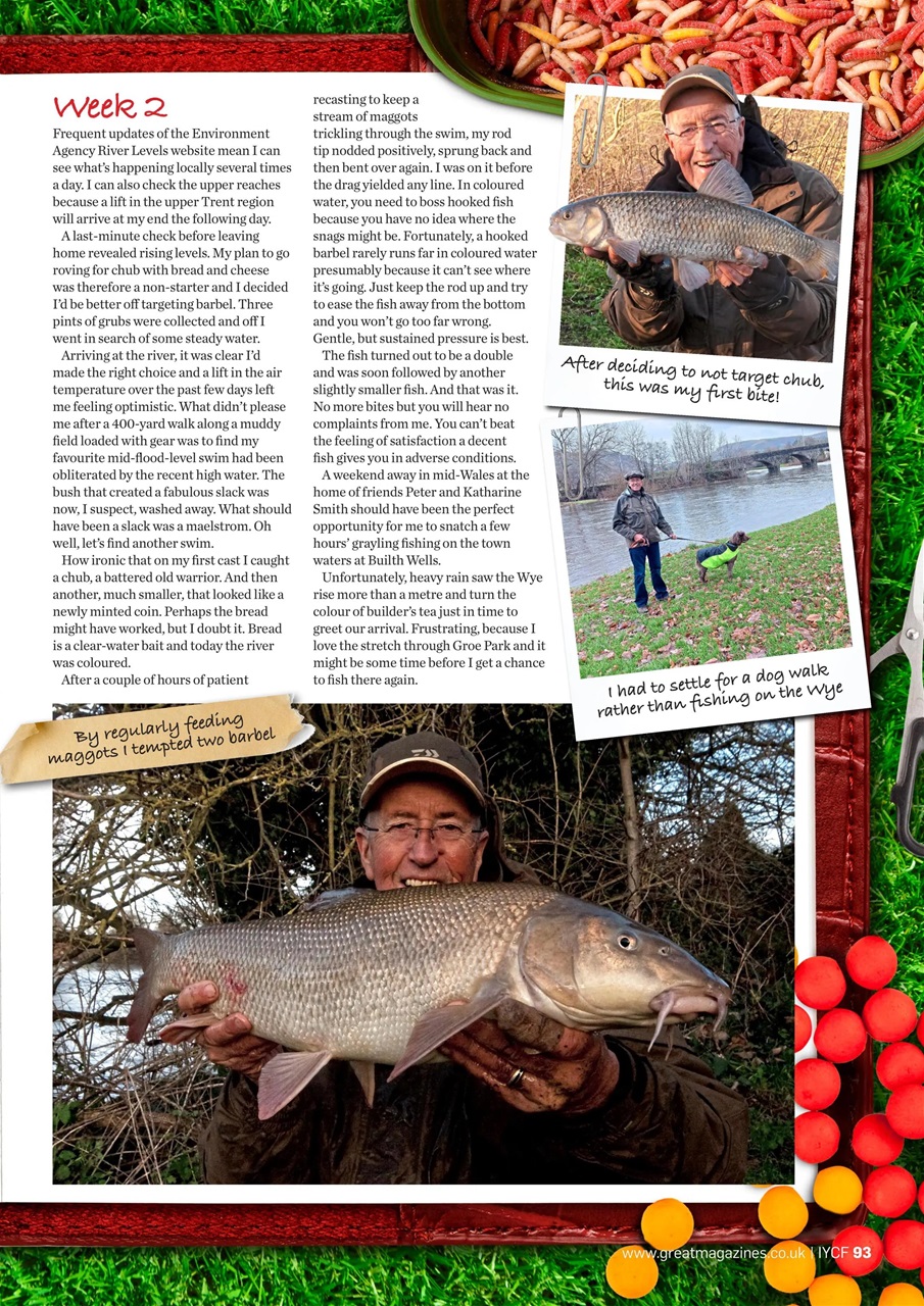 Improve Your Coarse Fishing Preview Pages