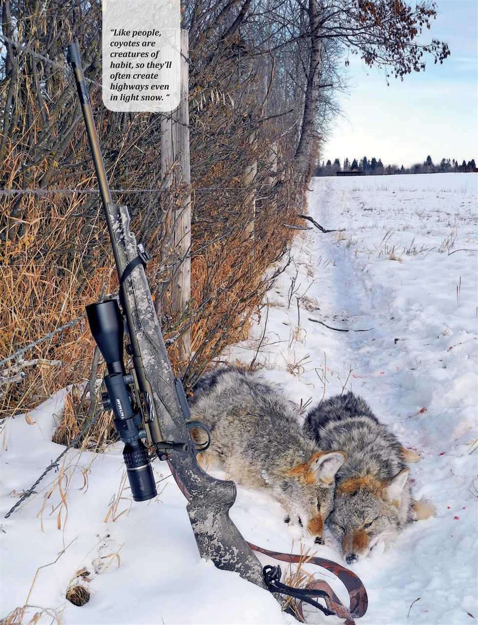 Alberta Outdoors Preview Pages