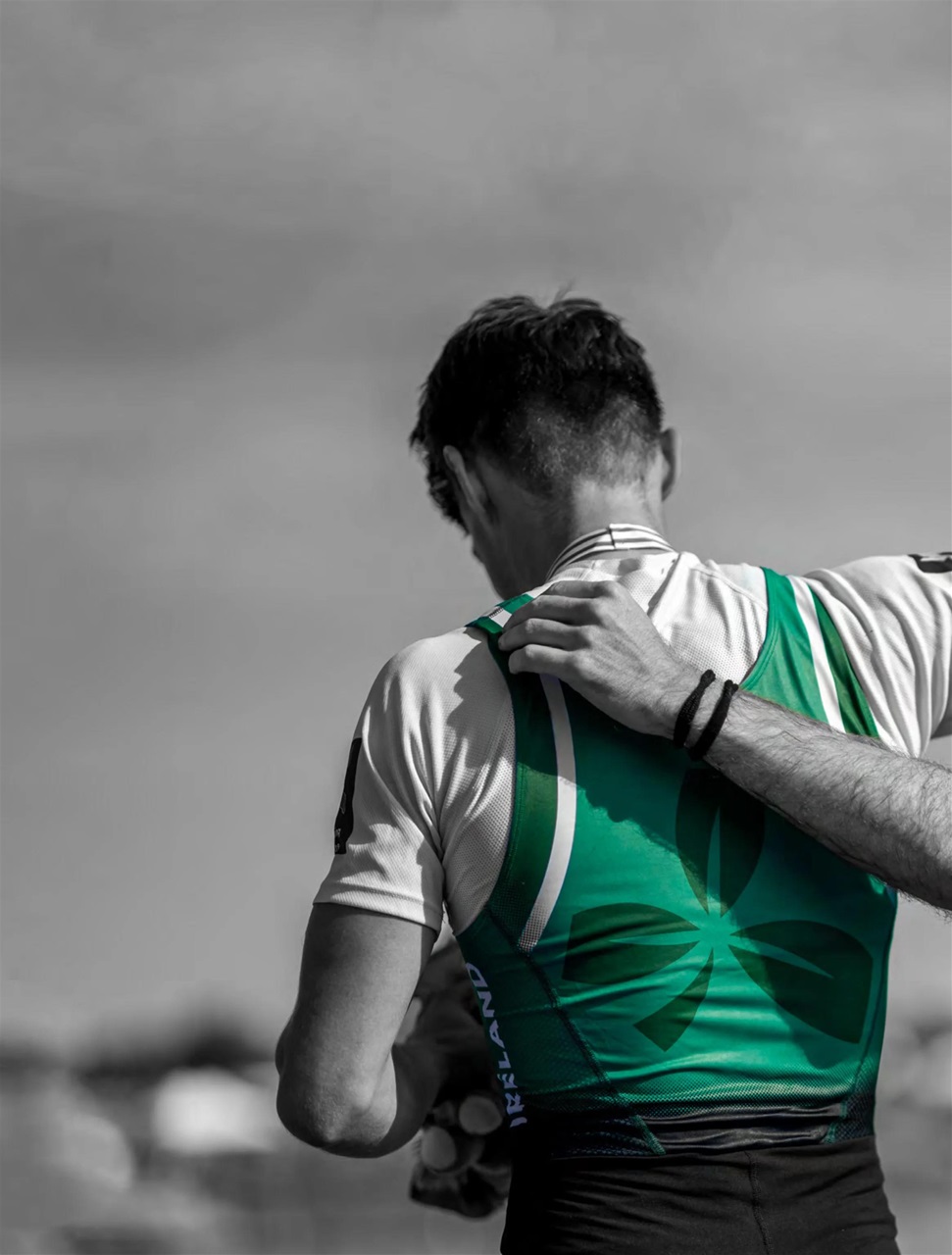 Row360 Preview Pages