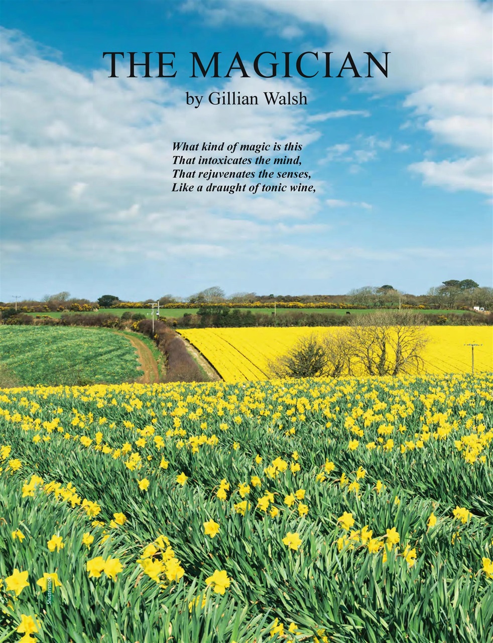 This England Preview Pages