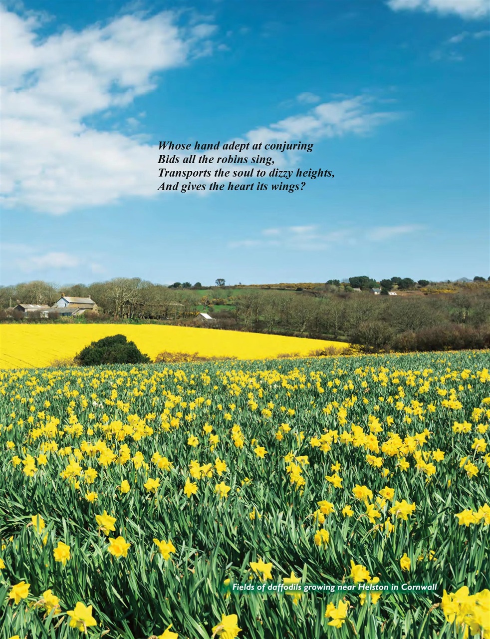 This England Preview Pages