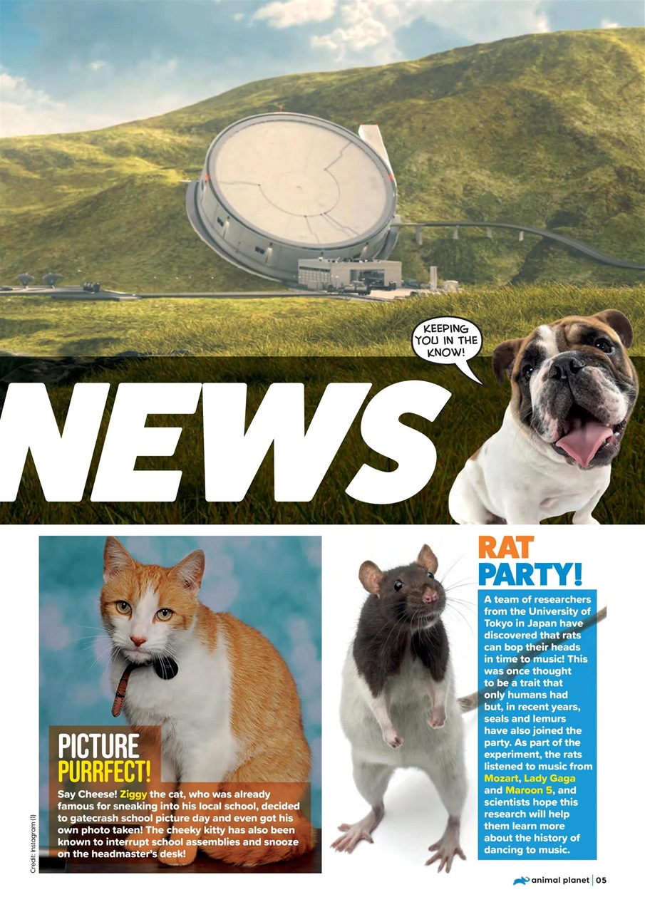 Animal Planet Kids Preview Pages