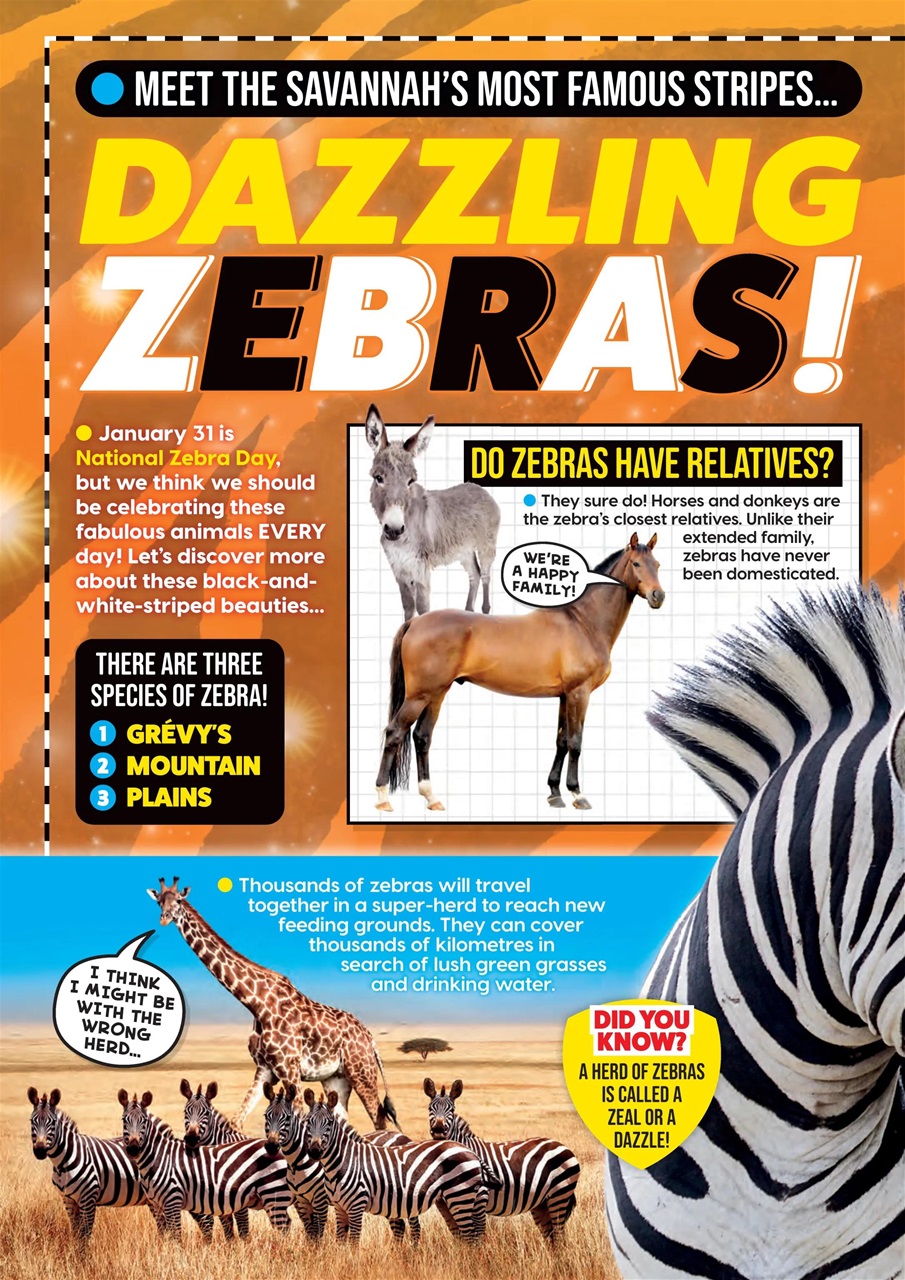 Animal Planet Kids Preview Pages