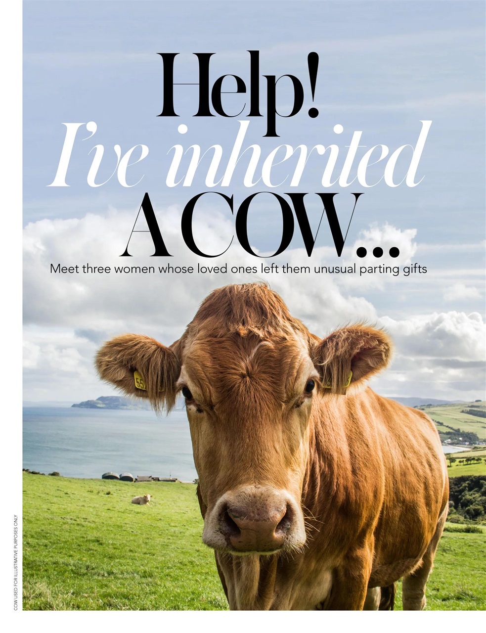 Woman & Home Preview Pages