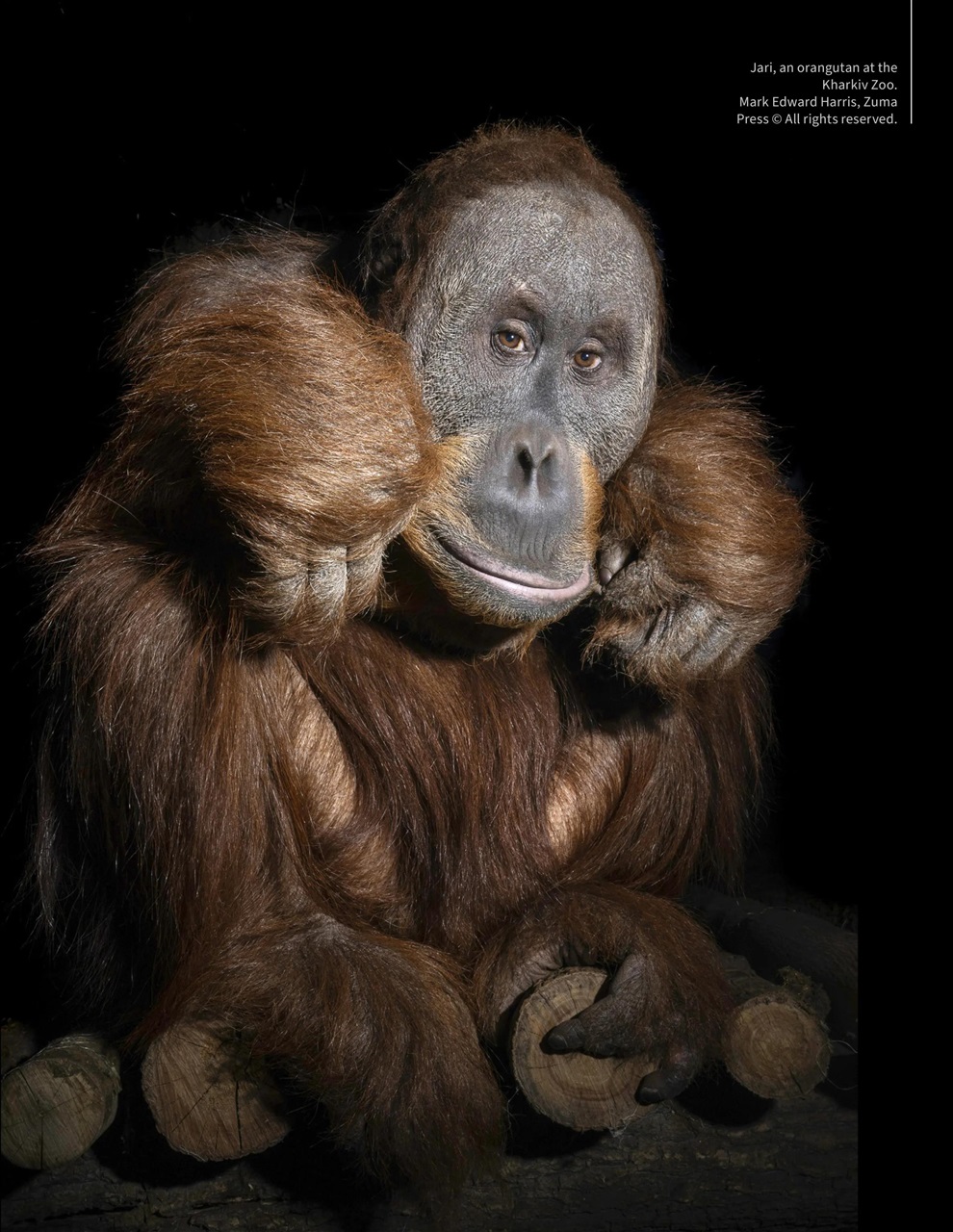 Lens Magazine Preview Pages