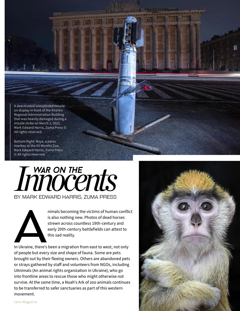 Lens Magazine Preview Pages