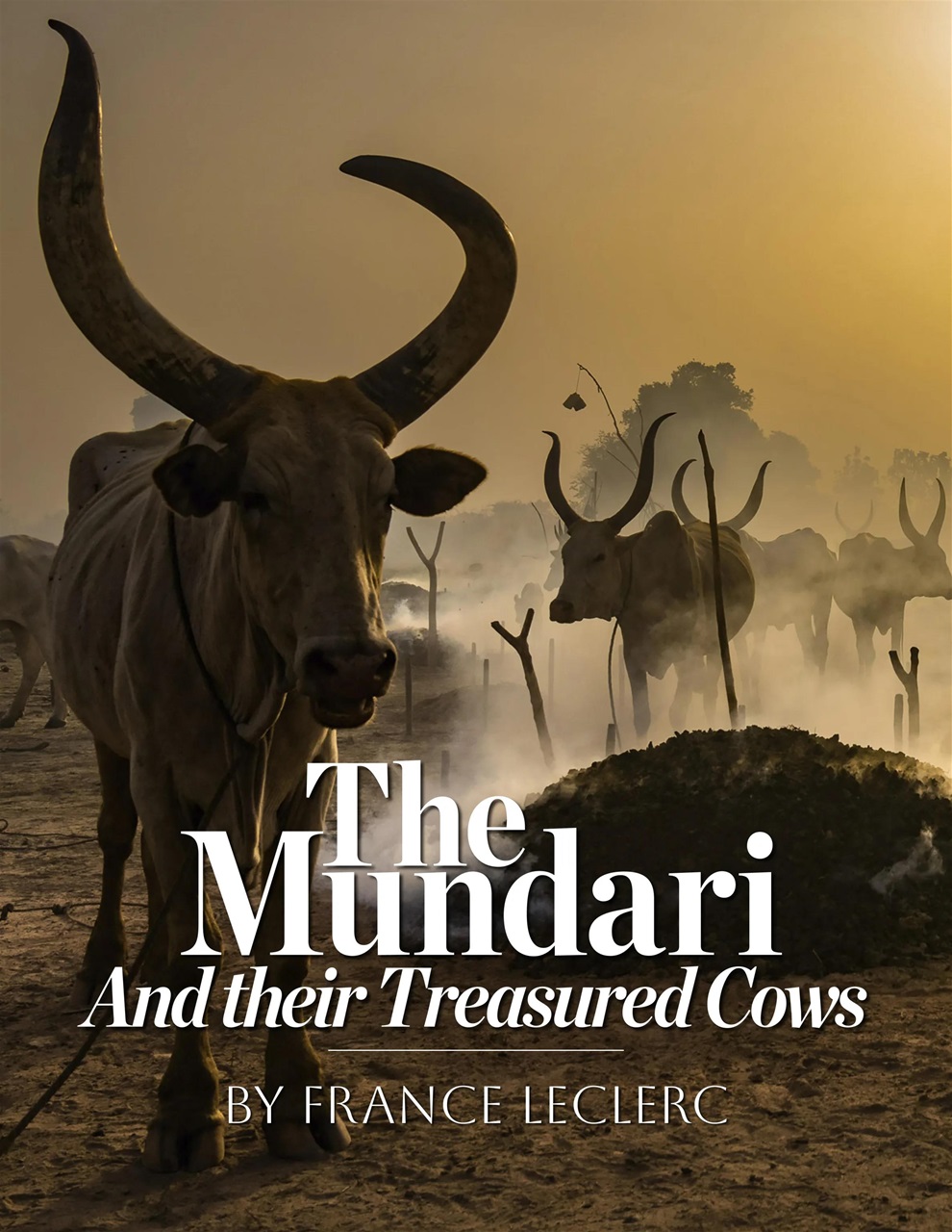 Lens Magazine Preview Pages