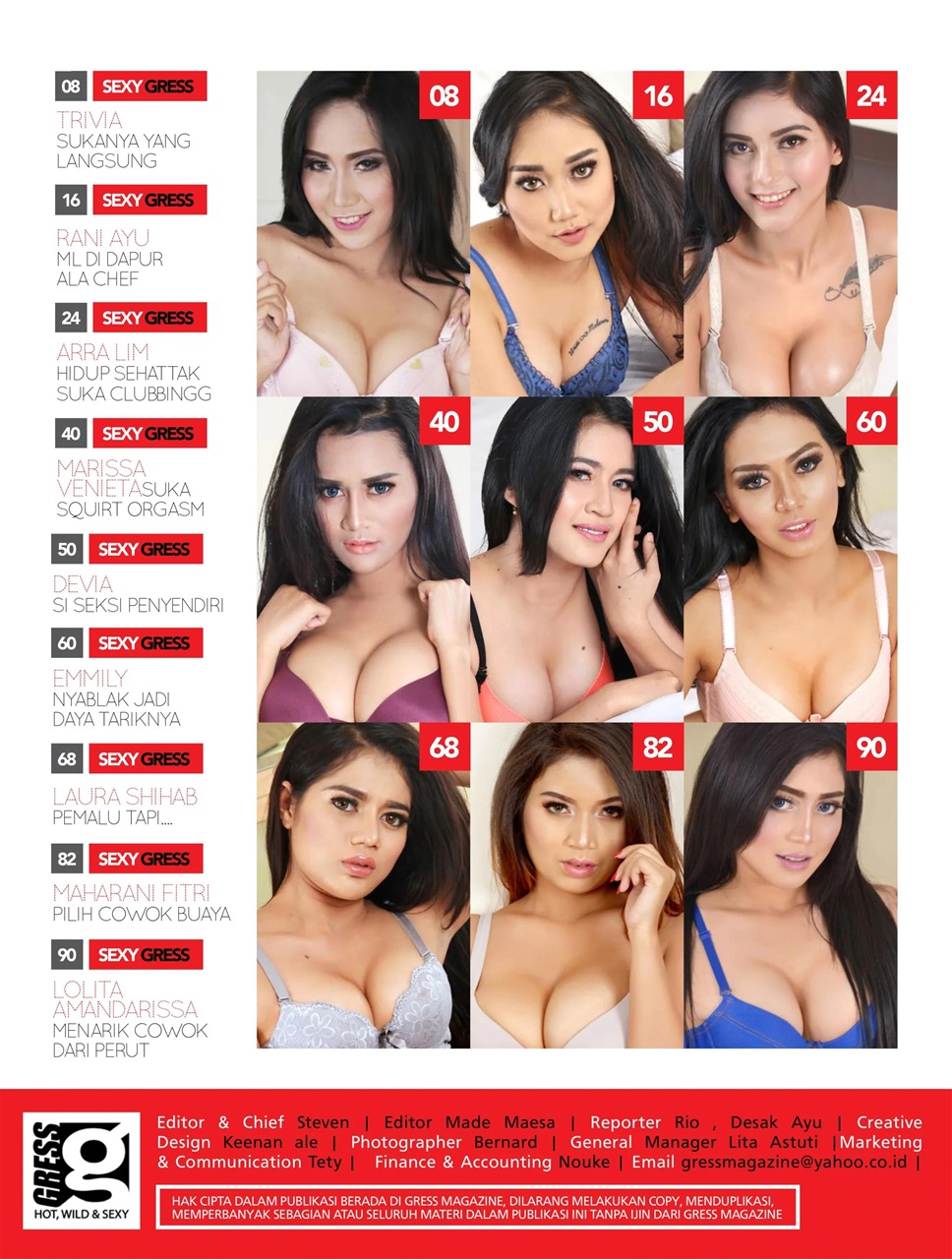 Gress Magazine Preview Pages