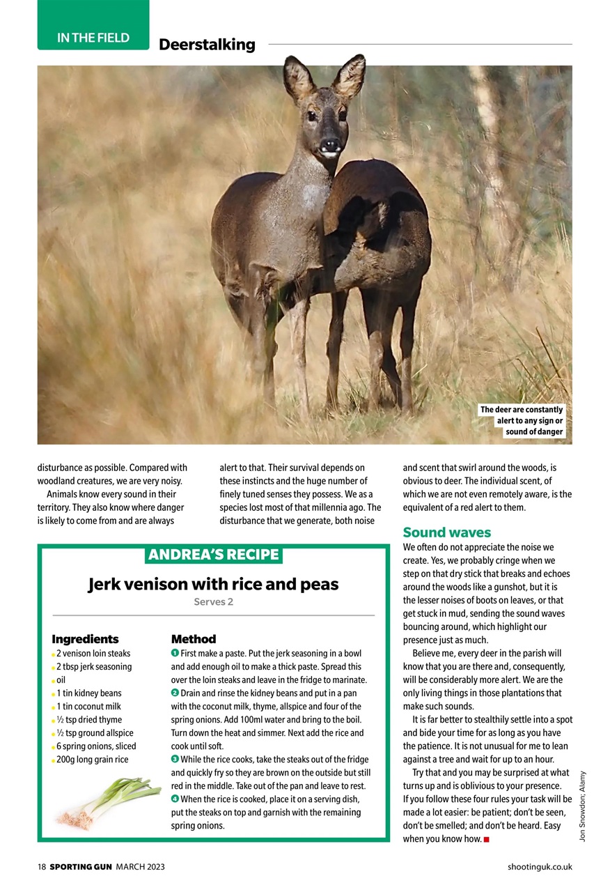 Sporting Gun Preview Pages