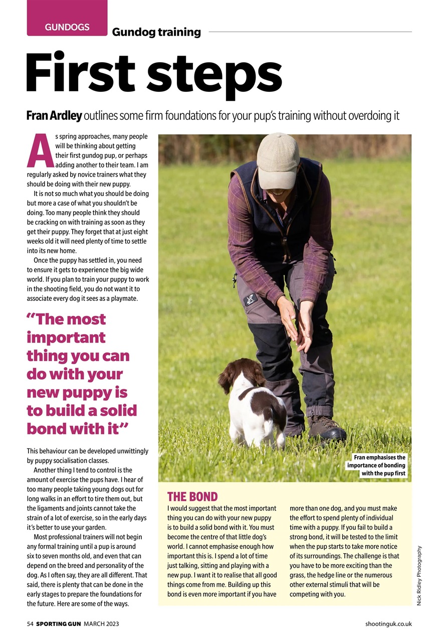 Sporting Gun Preview Pages