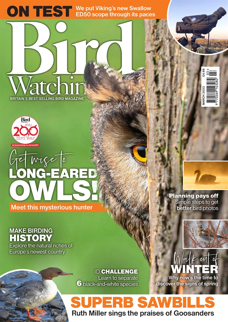 Bird Watching Preview Pages