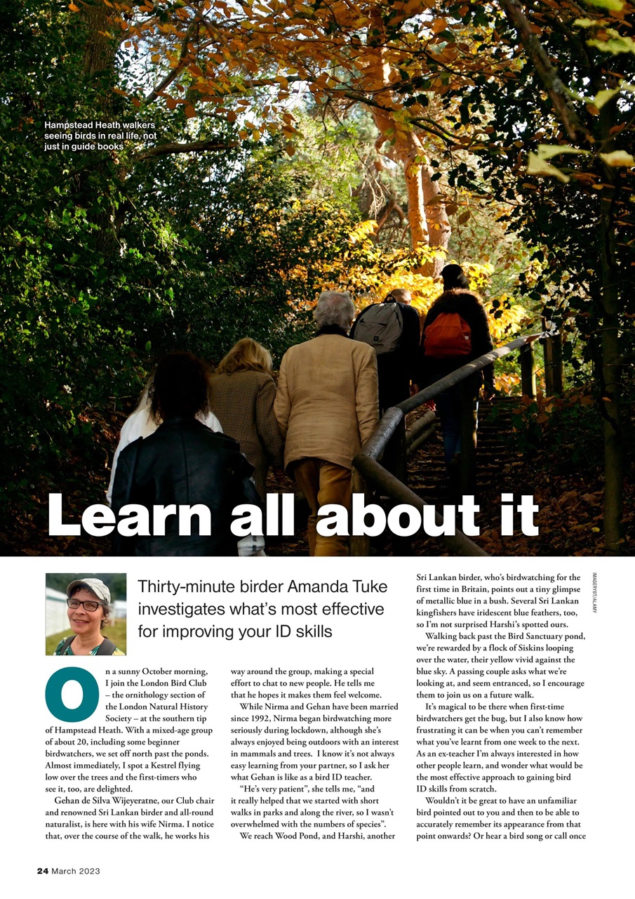 Bird Watching Preview Pages