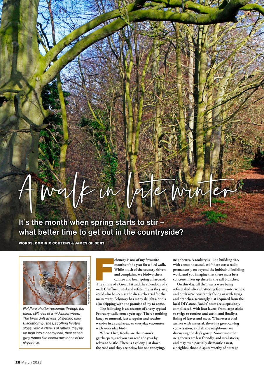 Bird Watching Preview Pages