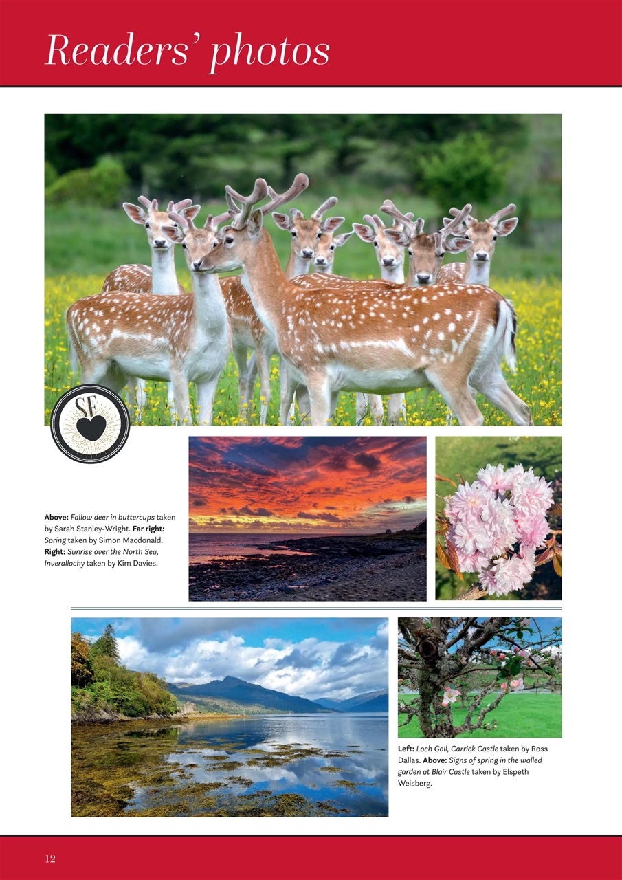 Scottish Field Preview Pages