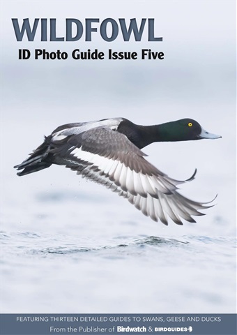 Wildfowl issue Wildfowl