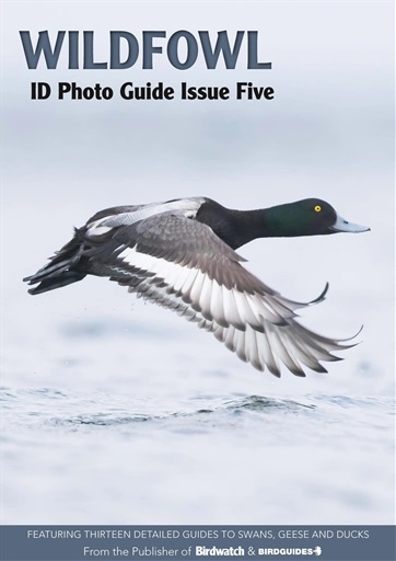 Birdwatch Magazine issue 