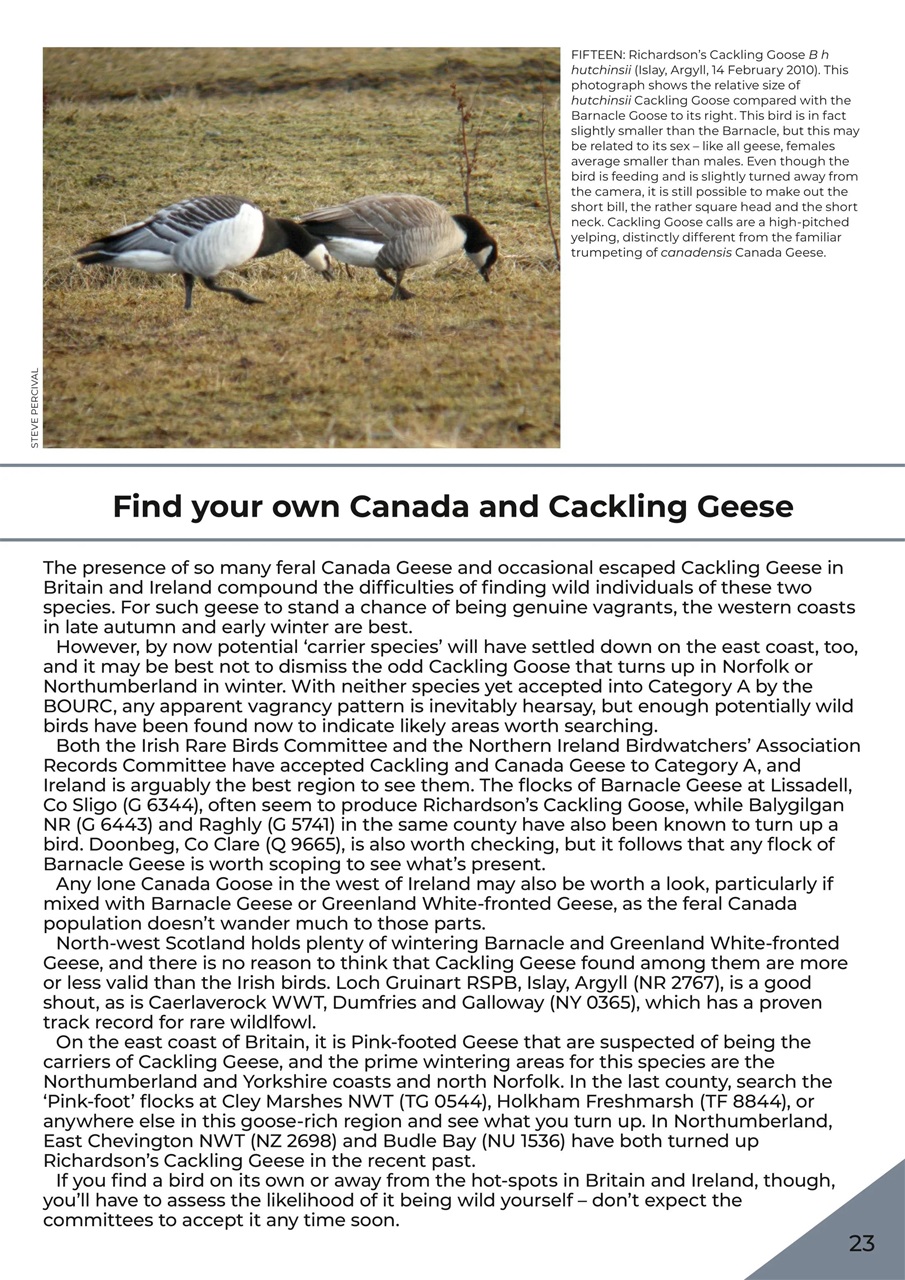 Bird ID Photo Guides Preview Pages