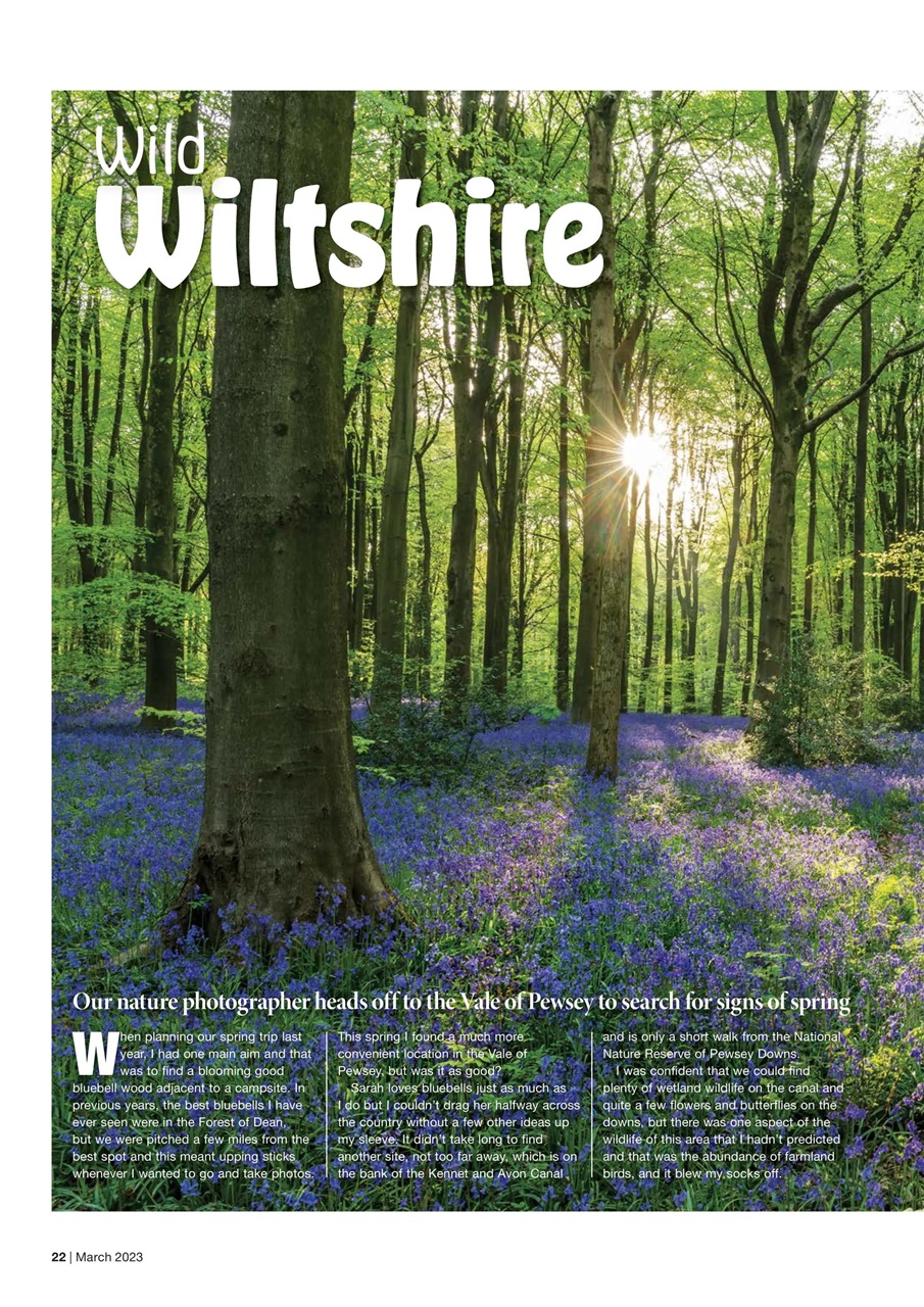 Caravan Magazine Preview Pages