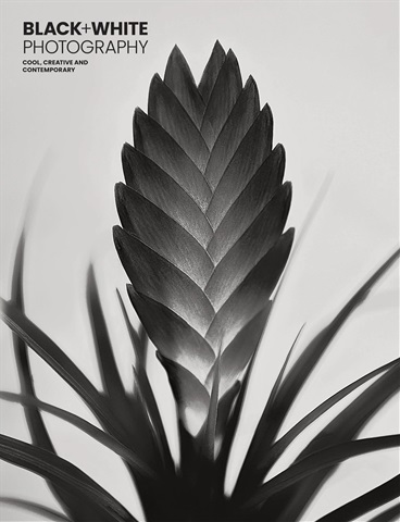 Black+White Photography issue Issue 275