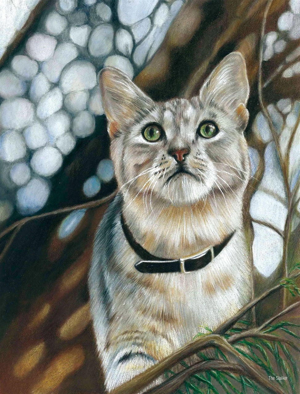 Australian Drawing and Inspiration Preview Pages