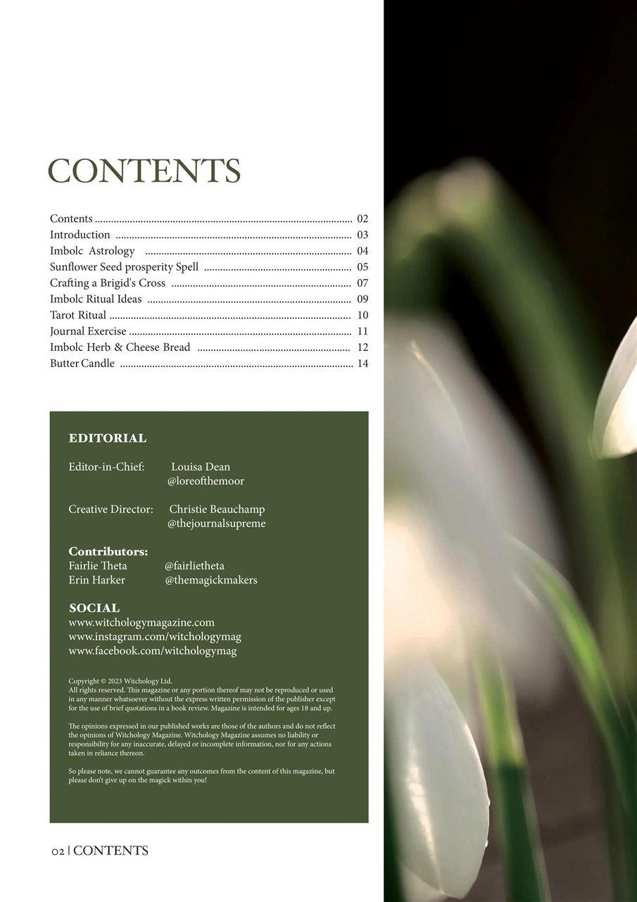 Witchology Magazine Preview Pages