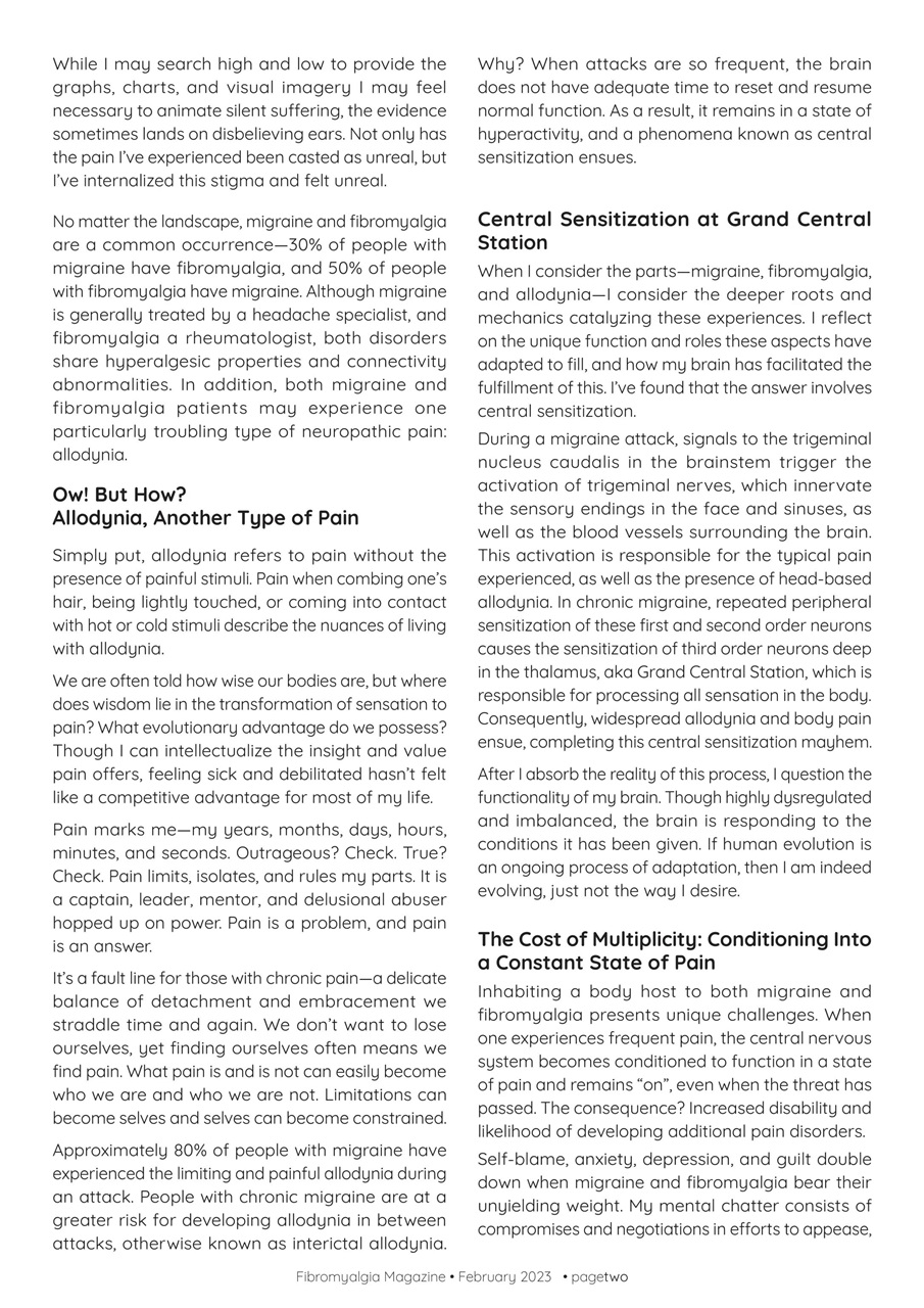 Fibromyalgia Magazine Preview Pages