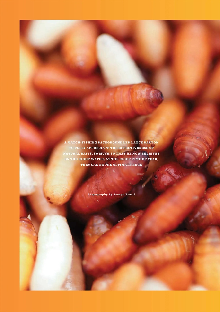 CARPology Magazine Preview Pages