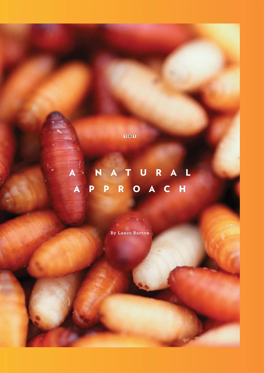 CARPology Magazine Preview Pages