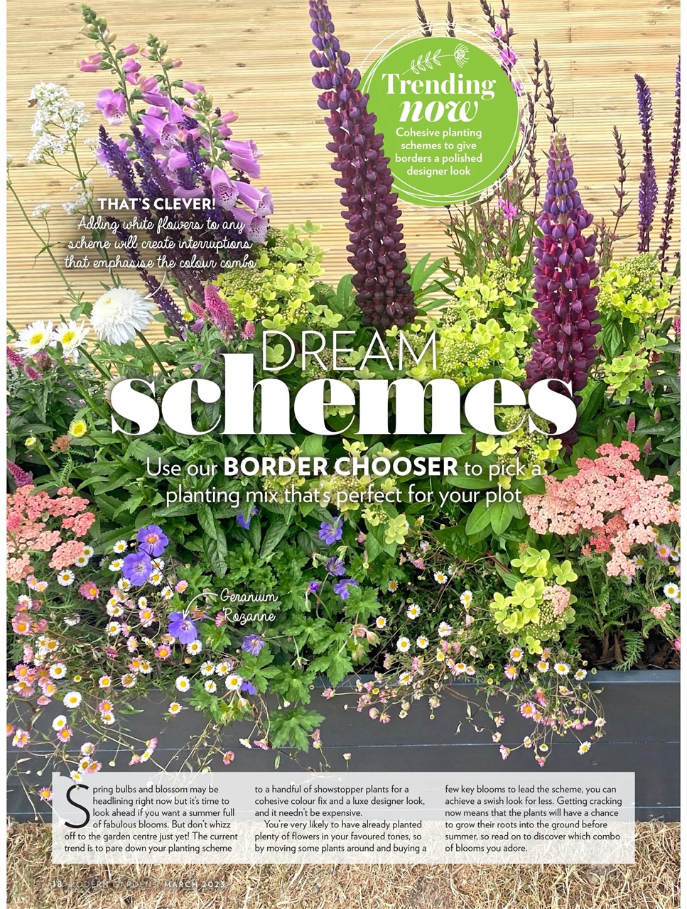 Modern Gardens Preview Pages