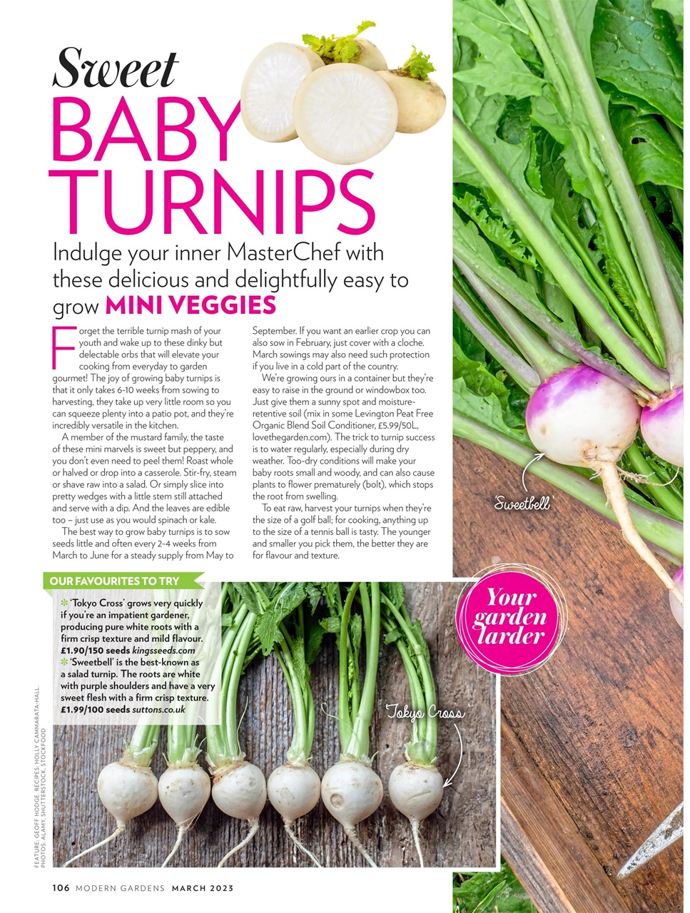 Modern Gardens Preview Pages