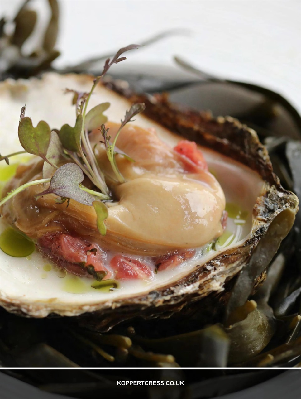 Chef & Restaurant Magazine Preview Pages