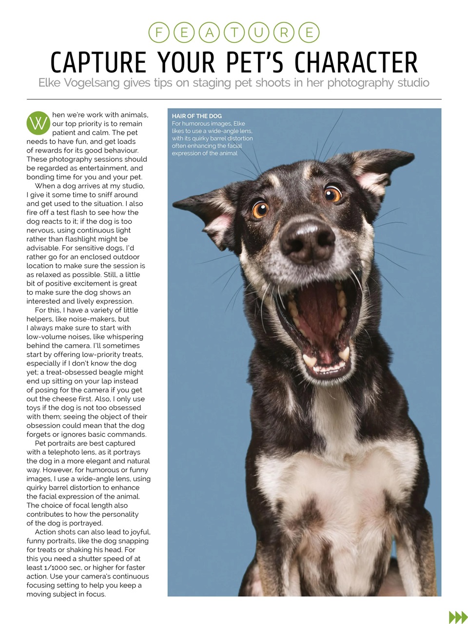 Photography Week Preview Pages