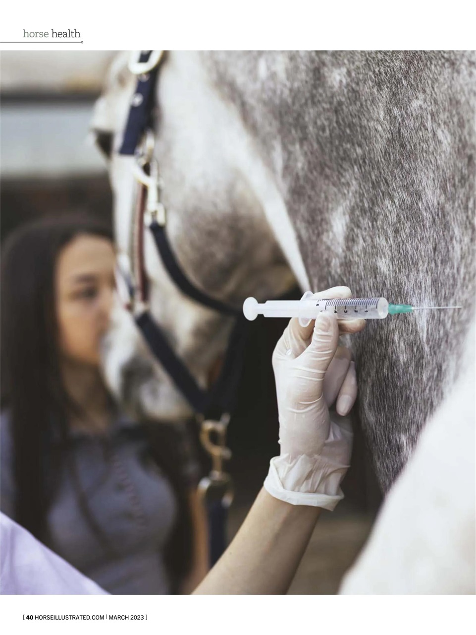 Horse Illustrated Magazine Preview Pages