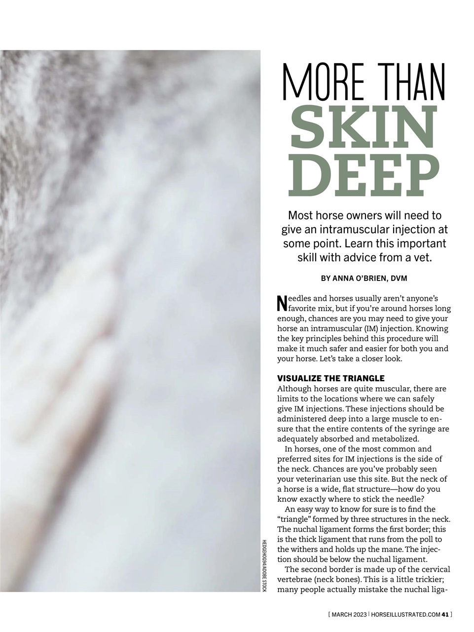 Horse Illustrated Magazine Preview Pages