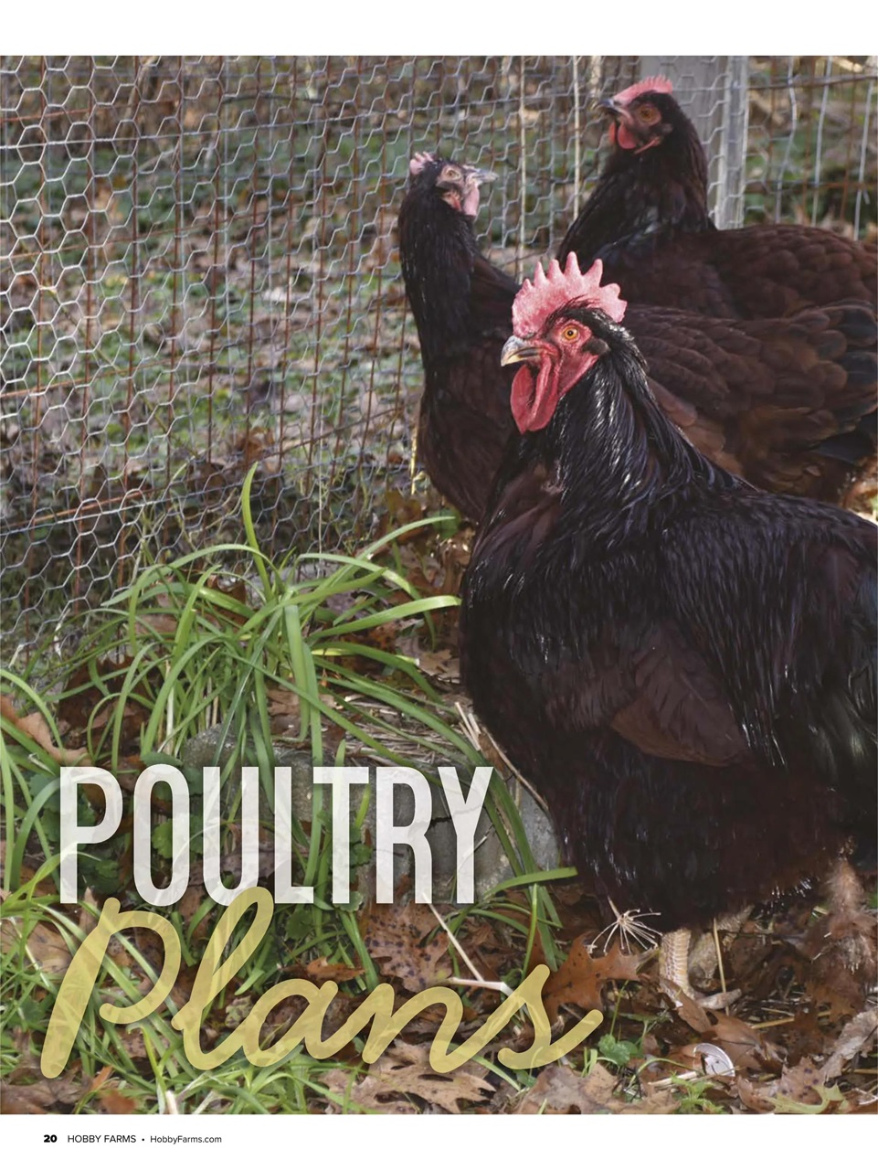 Hobby Farms Magazine Preview Pages