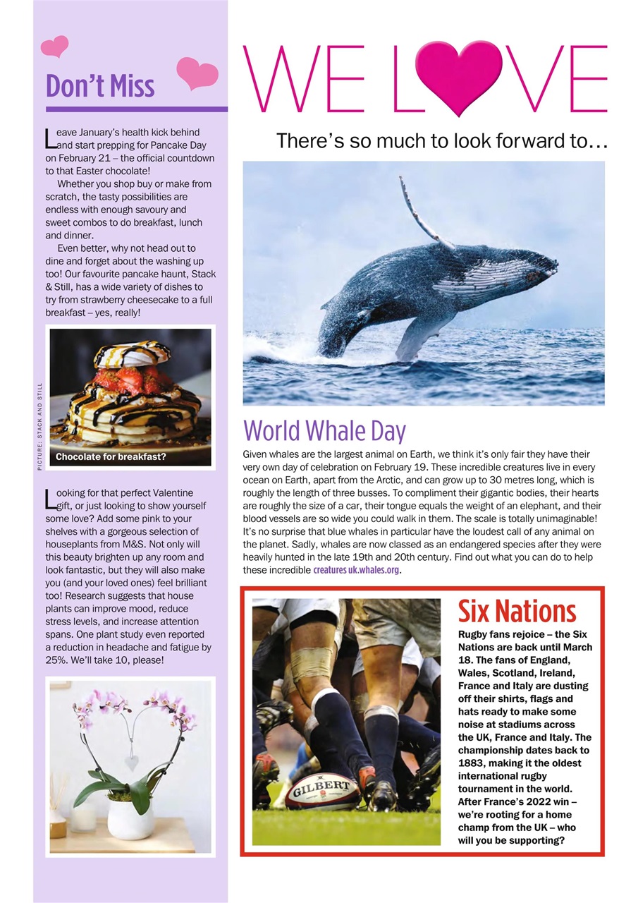 My Weekly Special Preview Pages