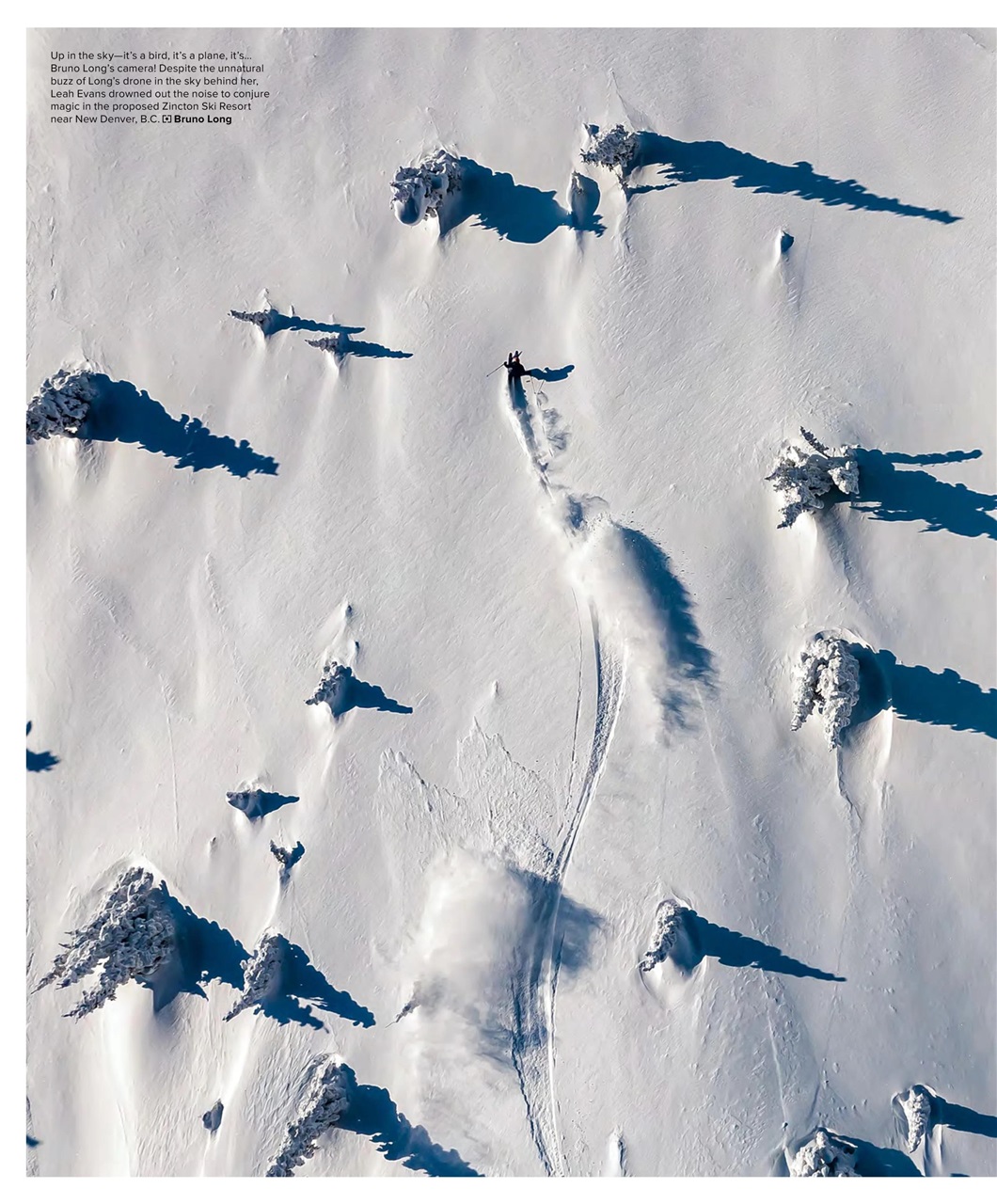Backcountry Preview Pages