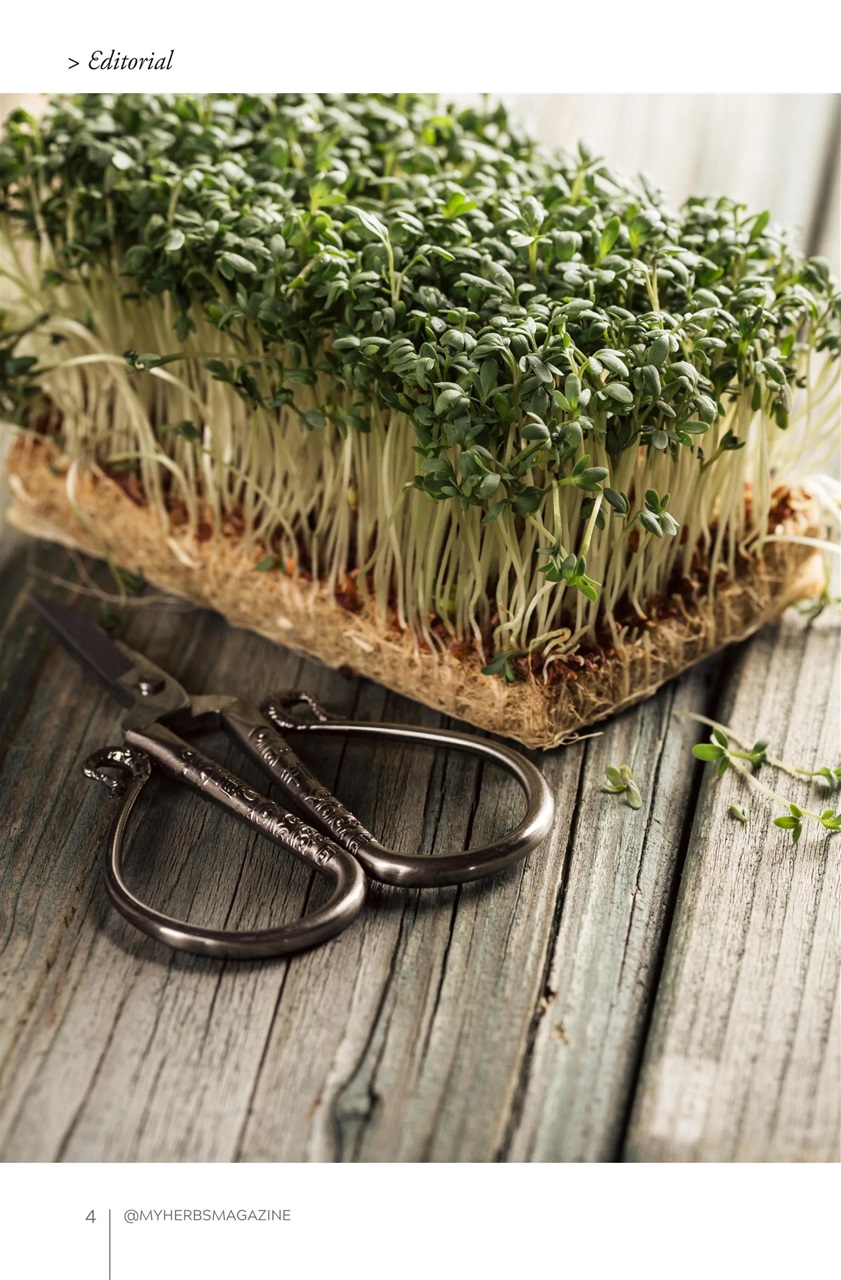 My Herbs Magazine Preview Pages